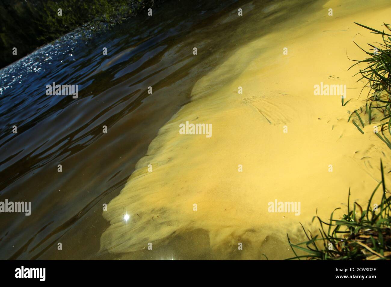The layer of pollen floating on the water in spring. Symbol for season ...