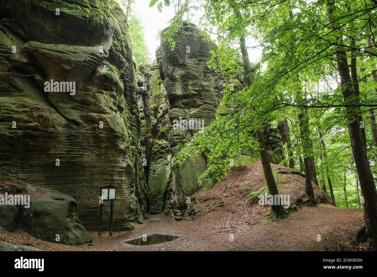 The picture from the natural area with rocks called 'Drábské světničky' (Dráb´ s rooms) in Czech Republic. Stock Photo