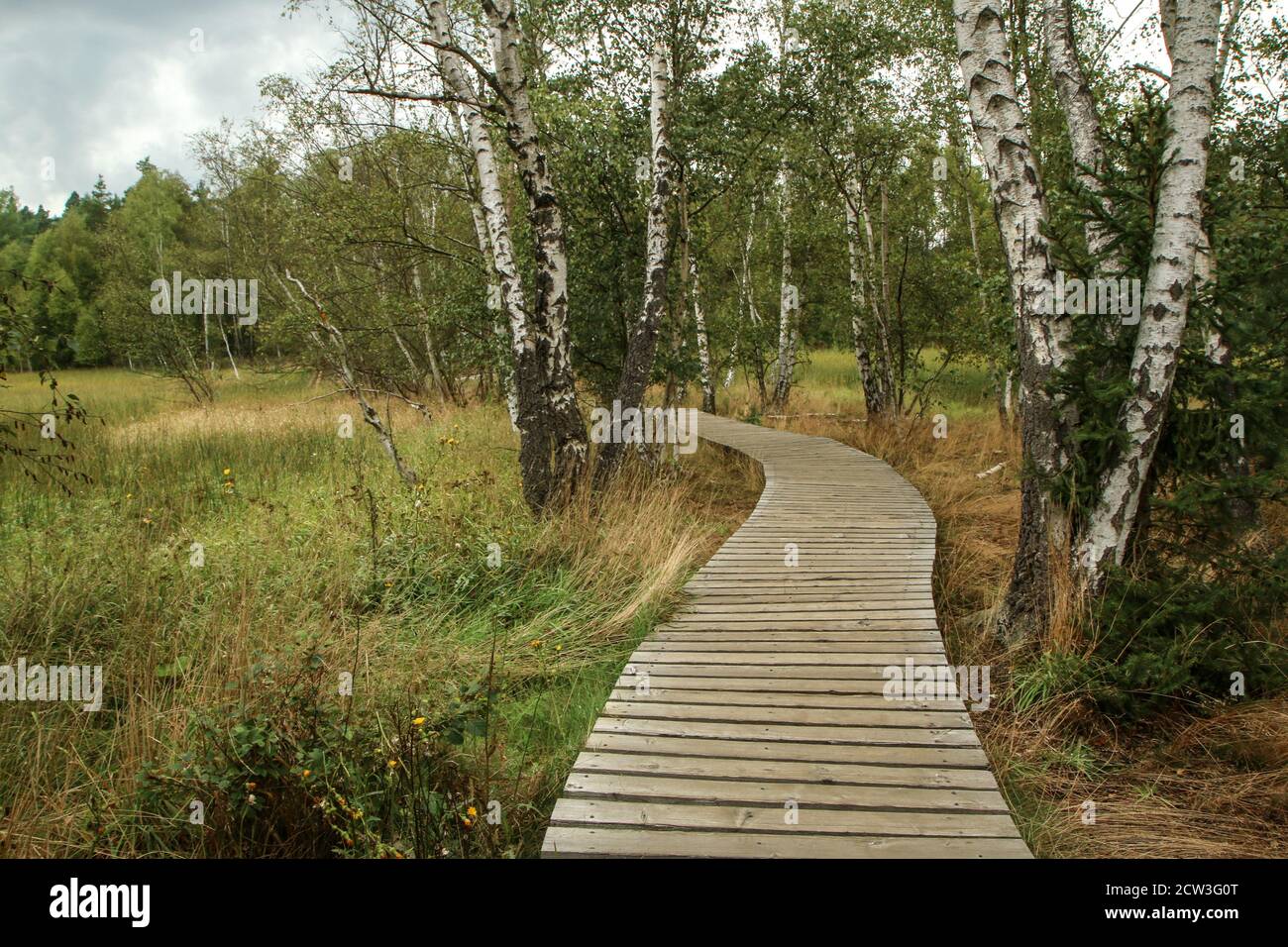 The picture from the national protected area in Czech Republic called SOOS. The former peat mining area. Stock Photo