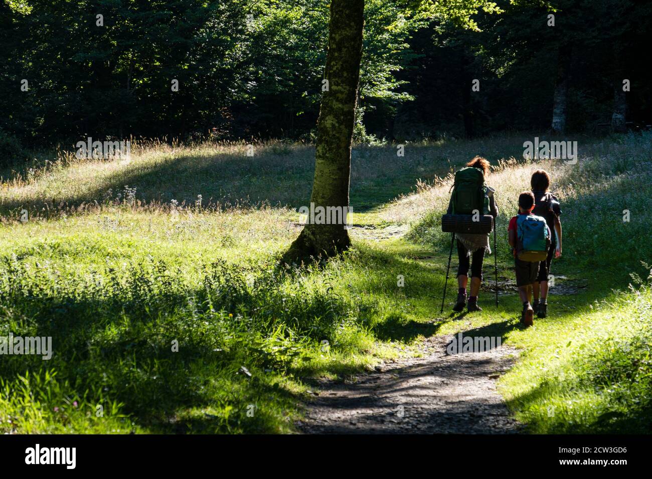 niños cruzando el bosque de Linza, ruta de las Golondrinas, barranco de Petrechema, pirineos occidentales, , Huesca, Aragón, Spain, Europe Stock Photo