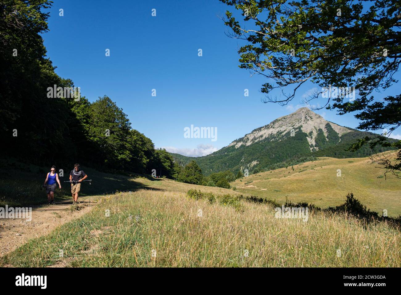 ruta de las Golondrinas, barranco de Petrechema, pirineos occidentales, , Huesca, Aragón, Spain, Europe Stock Photo