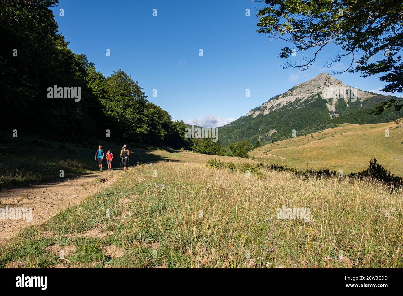 ruta de las Golondrinas, barranco de Petrechema, pirineos occidentales, , Huesca, Aragón, Spain, Europe Stock Photo