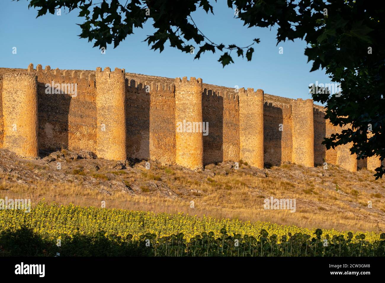 cerca vieja, siglos X-XII, castillo del siglo XV, Berlanga de Duero, Soria,  comunidad autónoma de Castilla y León, Spain, Europe Stock Photo
