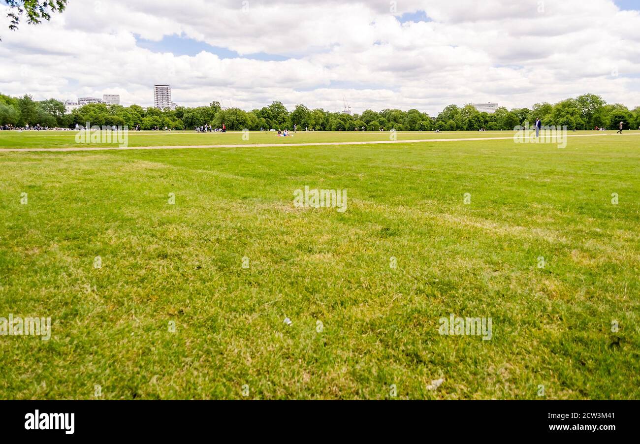 Large lawn in Hyde Park, London, UK Stock Photo Alamy