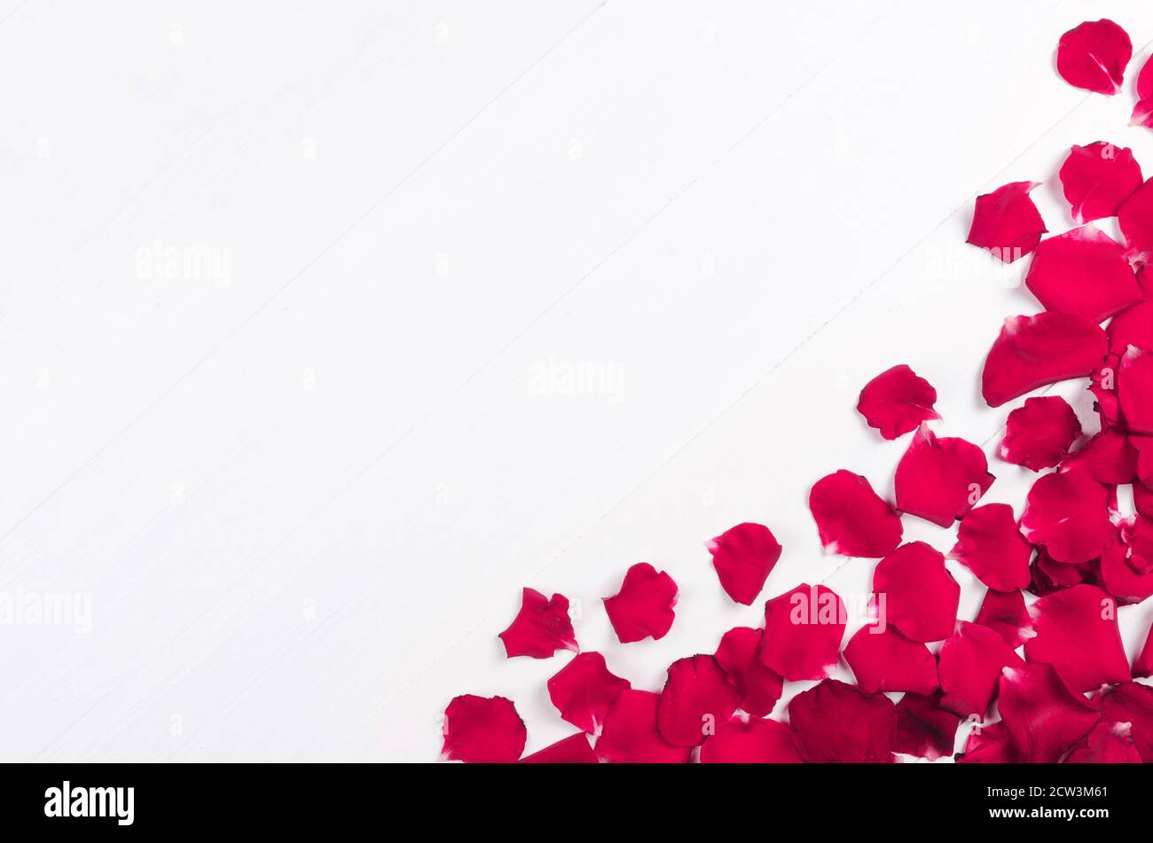 Pink rose petals falling hi-res stock photography and images - Alamy