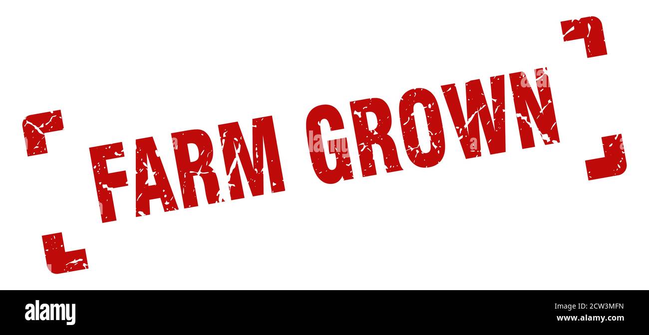 farm grown stamp. square grunge sign on white background Stock Vector ...