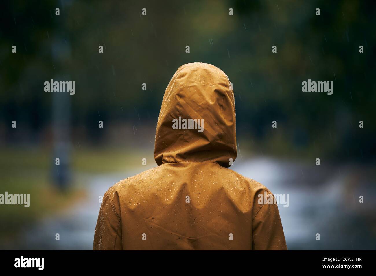 Heavy rain during autumn day. Man in waterproof jacket. Stock Photo