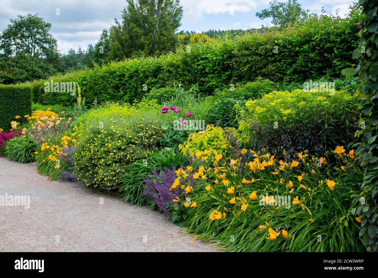 Summer colourful in the herbaceous borders at RHS Rosemoor, Devon, England, UK Stock Photo