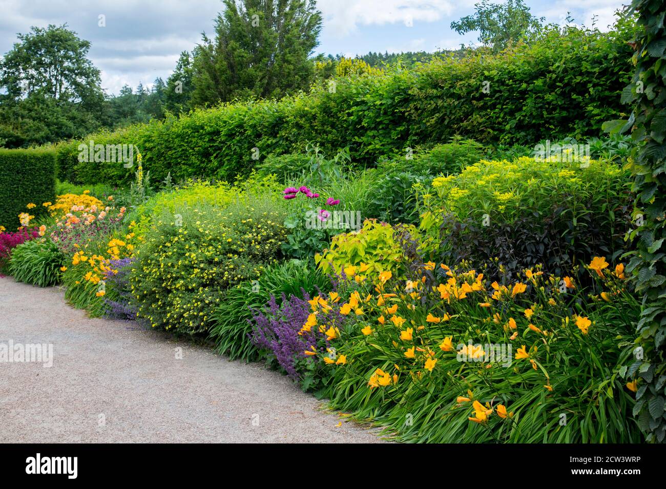 Herbaceous borders hi-res stock photography and images - Alamy