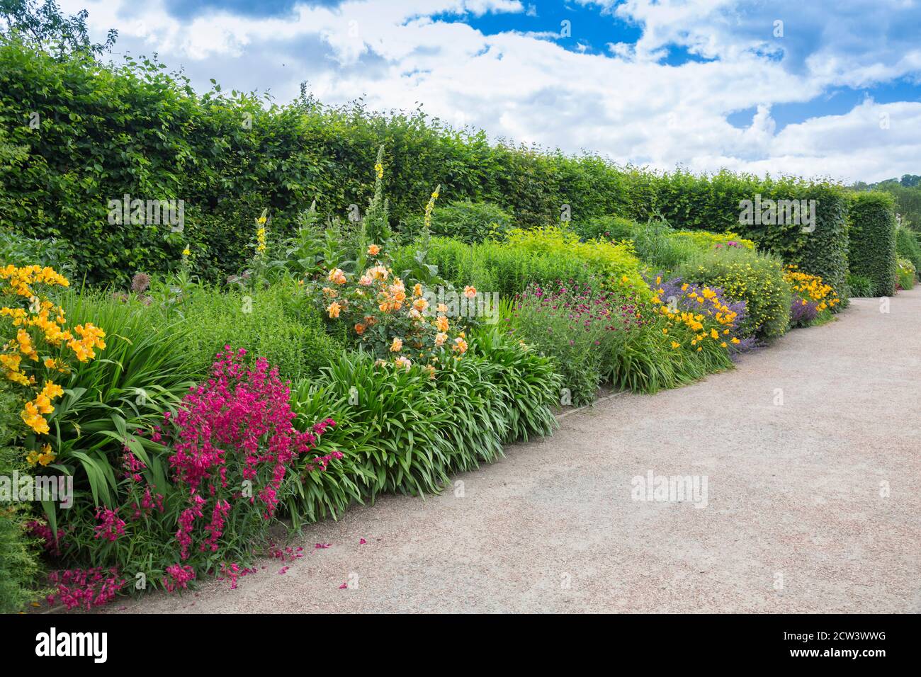Summer colourful in the herbaceous borders at RHS Rosemoor, Devon, England, UK Stock Photo
