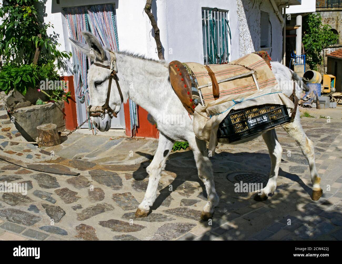 Casares de las hurdes hi-res stock photography and images - Alamy