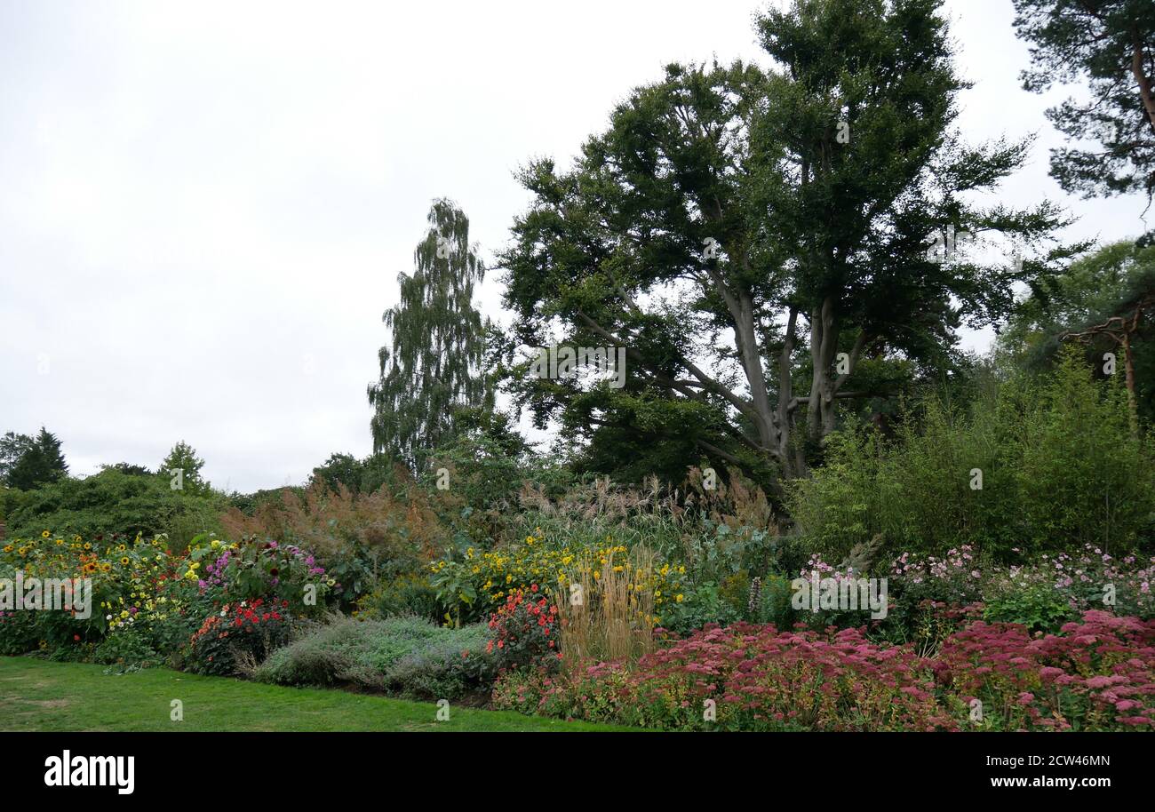 Addington Hills High Resolution Stock Photography and Images Alamy