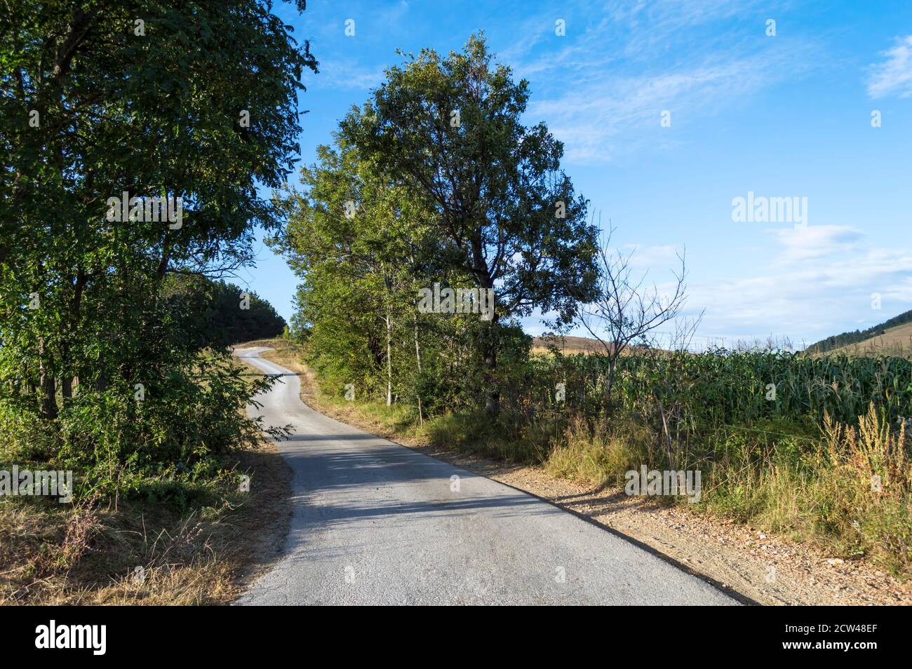 Road and mountain landscape, Zlatibor, Serbia Stock Photo