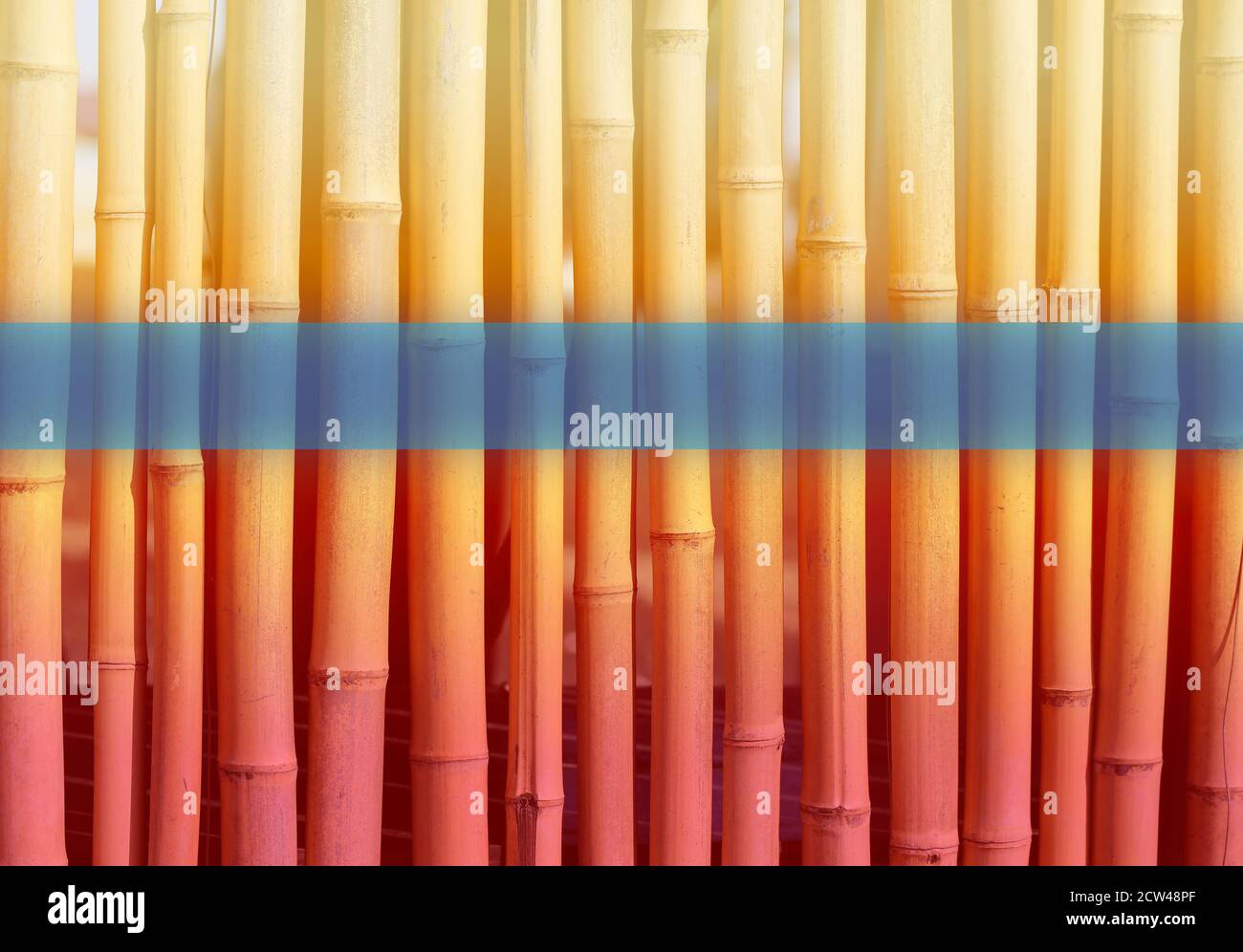 Macro photo of bamboo sticks background wall Stock Photo Alamy
