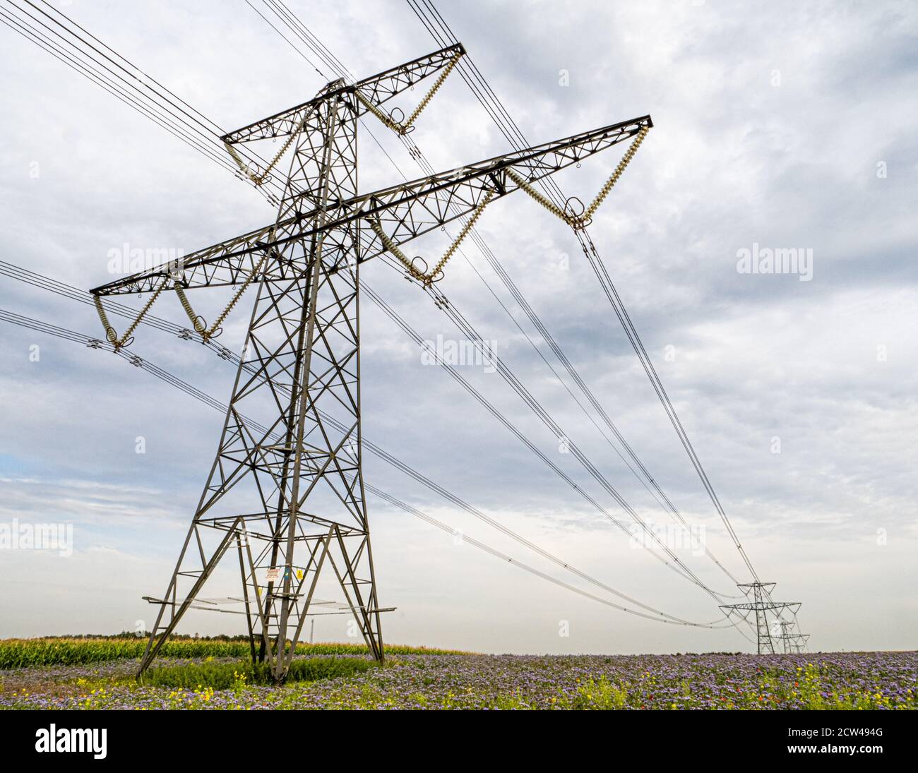 T9 low-height electricity pylons spanning the Cotswold Hills by the M4 near Bristol UK Stock Photo