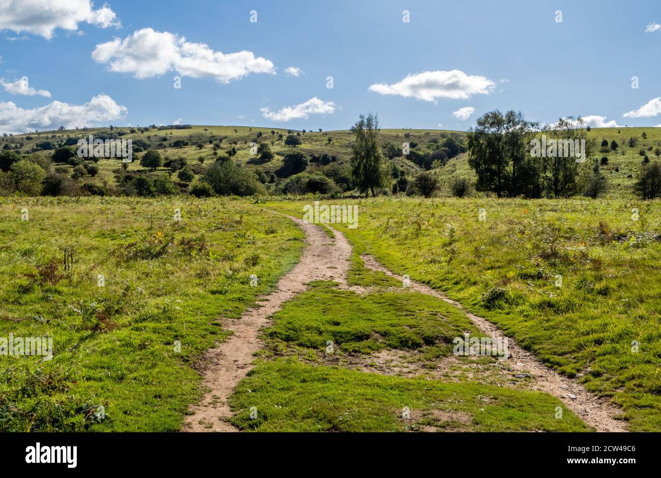 Becon batch hi-res stock photography and images - Alamy