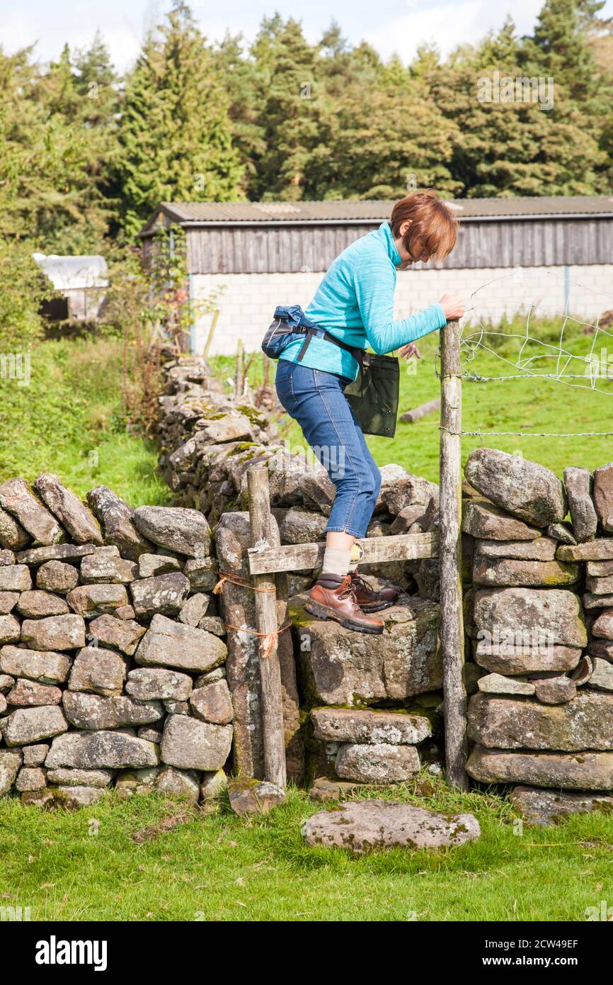 Woman climbing over a stile in a dry stone wall in the Peak District national park  countryside  England UK Stock Photo