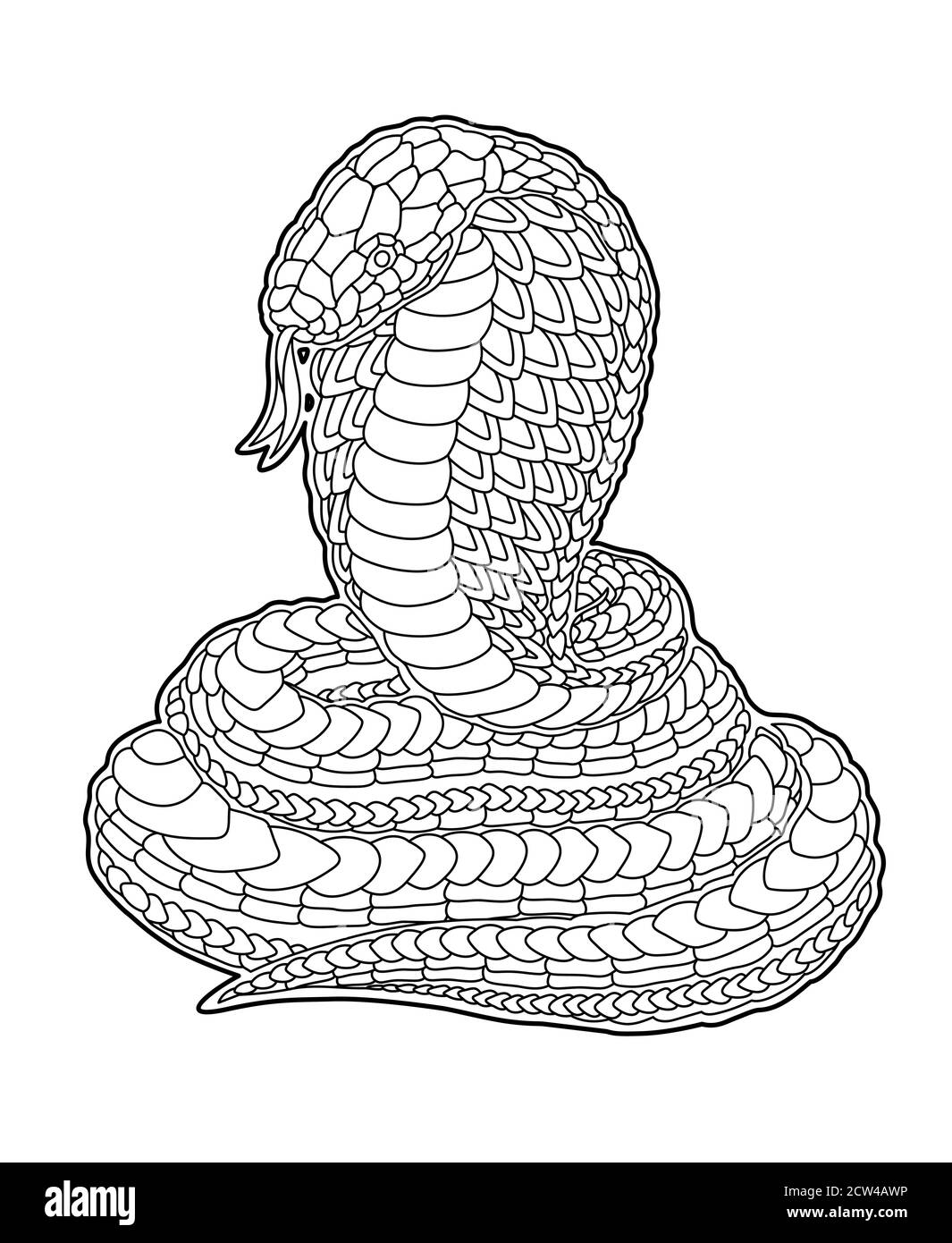 Snake coloring book for adults Royalty Free Vector Image