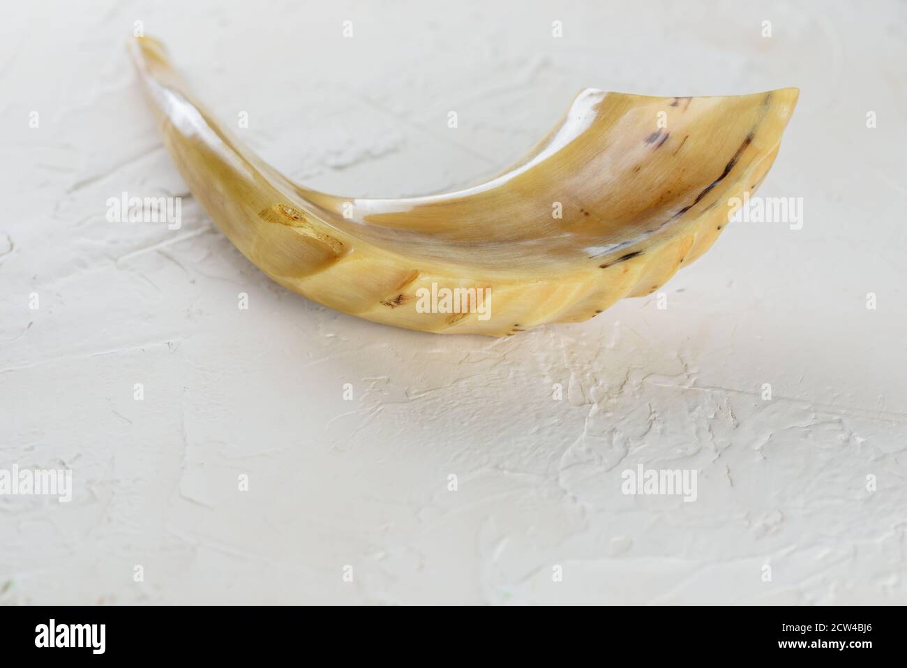 Shofar horn on white background. ShofarReligious and Jewish Holidays