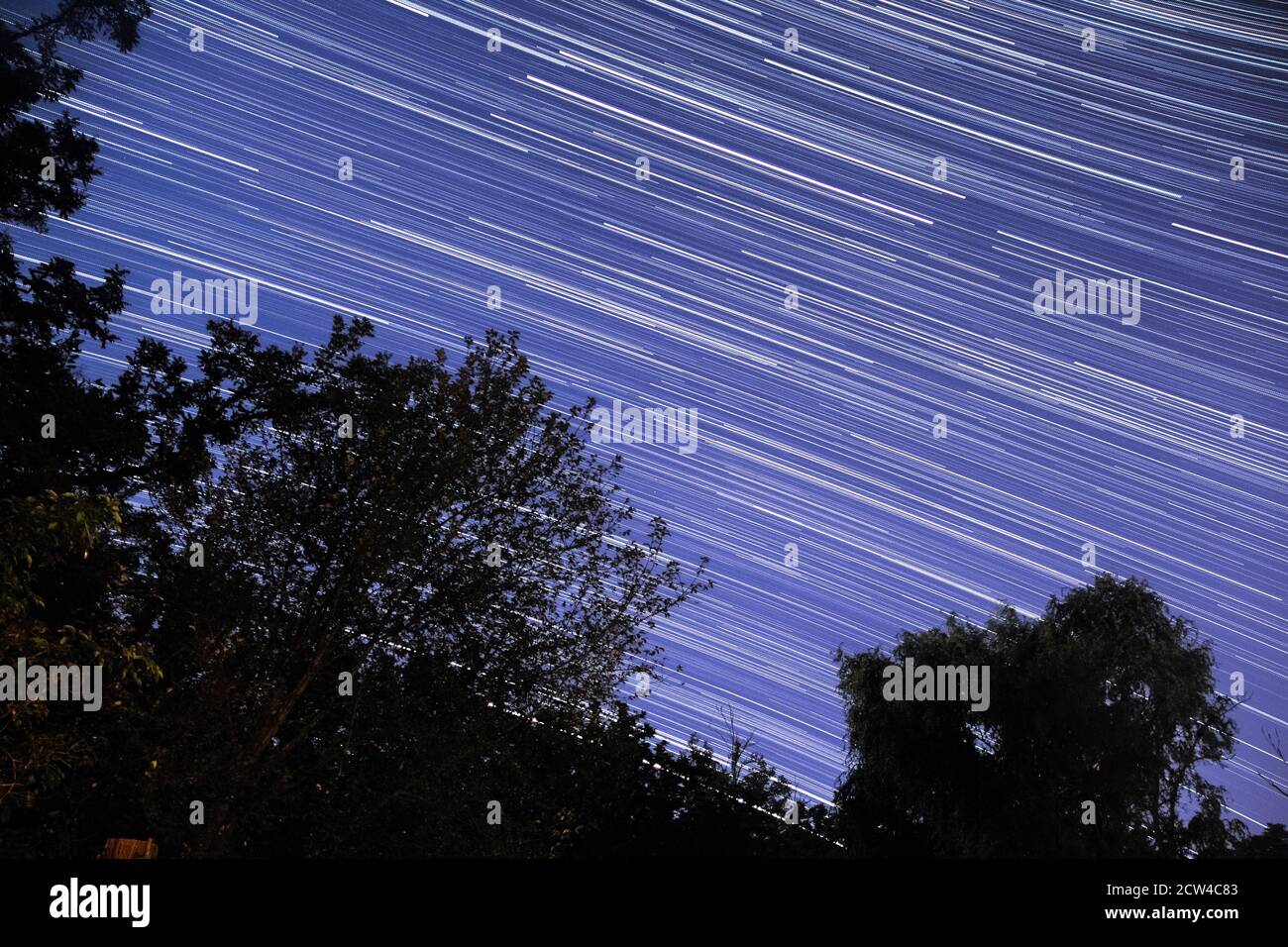 Beautiful star trails in the night sky Stock Photo - Alamy