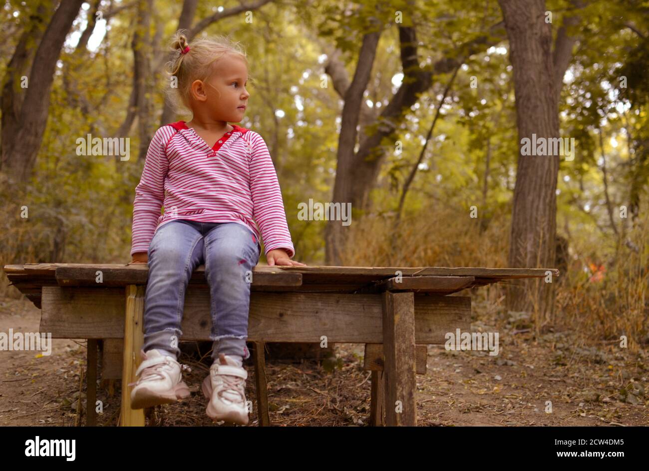 The baby sits alone on a wooden bridge in an autumn park, outdoors. Autumn portrait of a beautiful child. Moments of childhood. Stock Photo