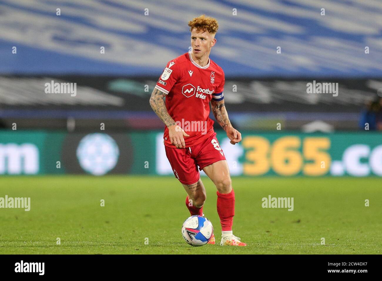 Jack colback forest hi-res stock photography and images - Alamy