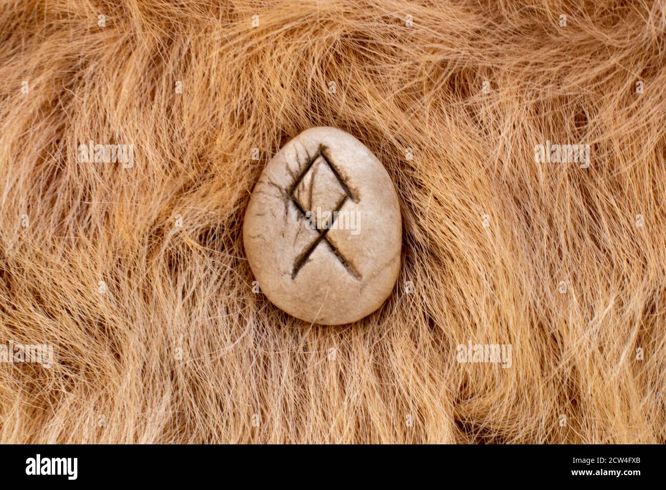 Othila or Othial Nordic stone rune on fur. Letter Ethel of the Viking ...
