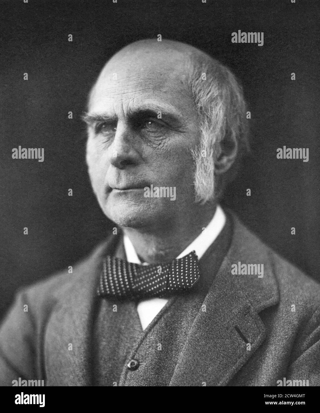 Sir francis galton hires stock photography and images Alamy