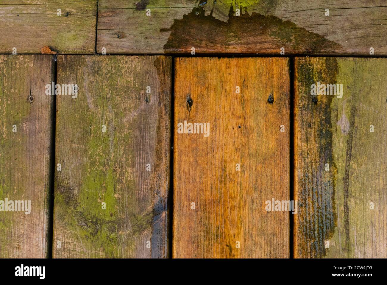 Green algae being washed off a wooden deck, showing before and after