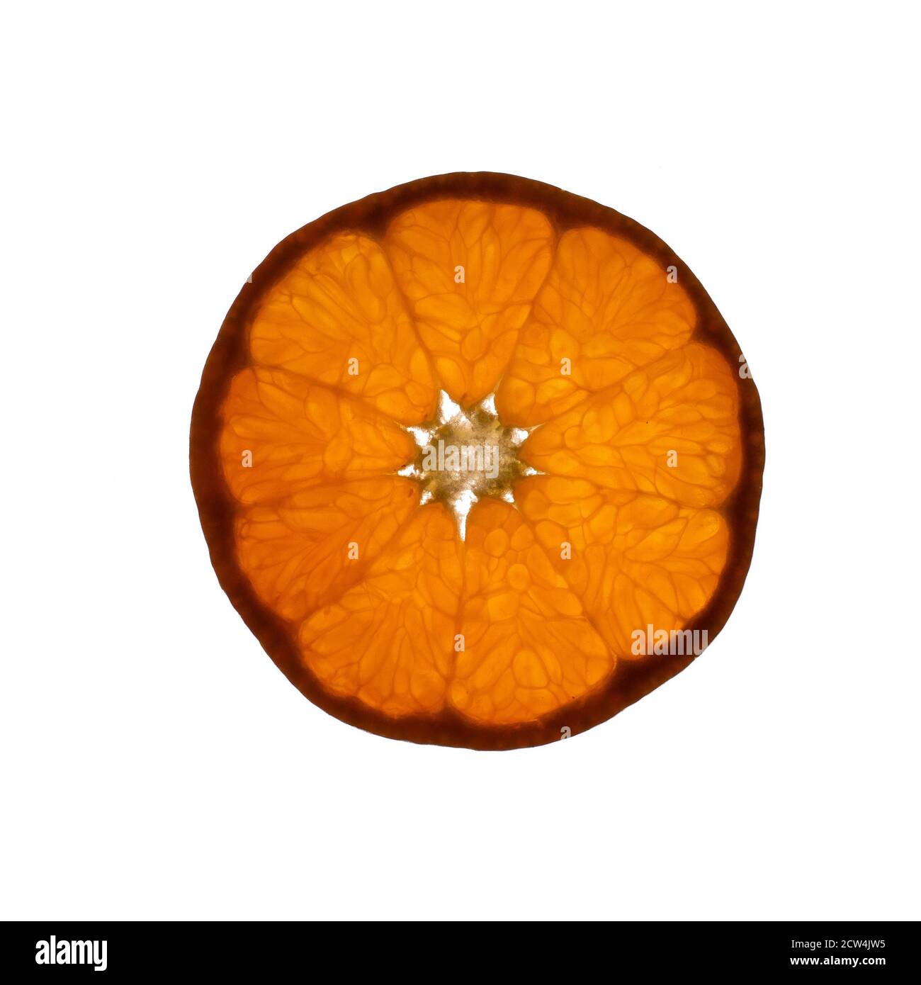 Slice of tangerine fruit with light shining through backlight showing