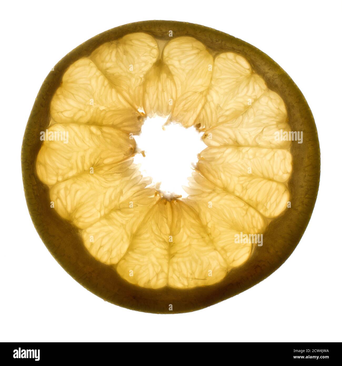 Slice of pomelo fruit with light shining through backlight showing the