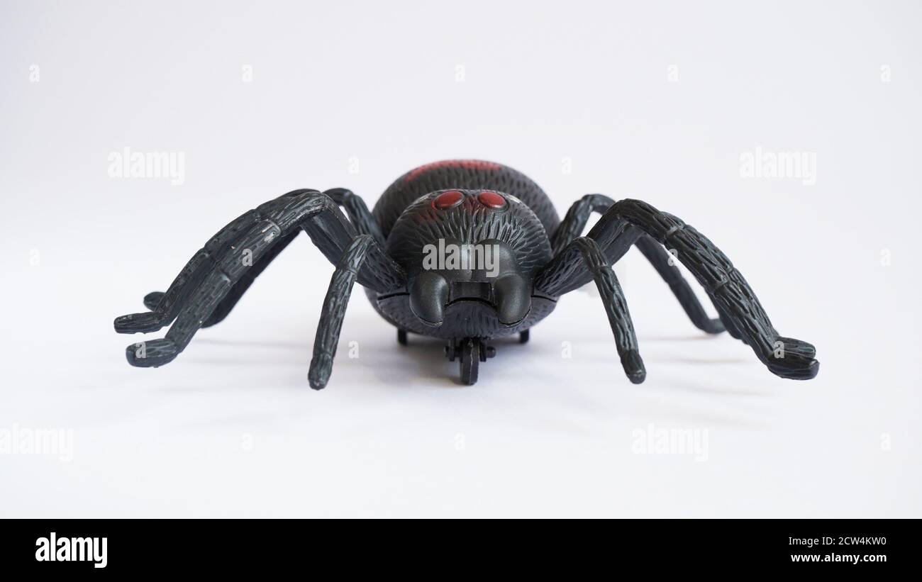 Black clockwork plastic toy spider on a white background, close up. oncept of celebrating the day of the dead, Halloween. Stock Photo