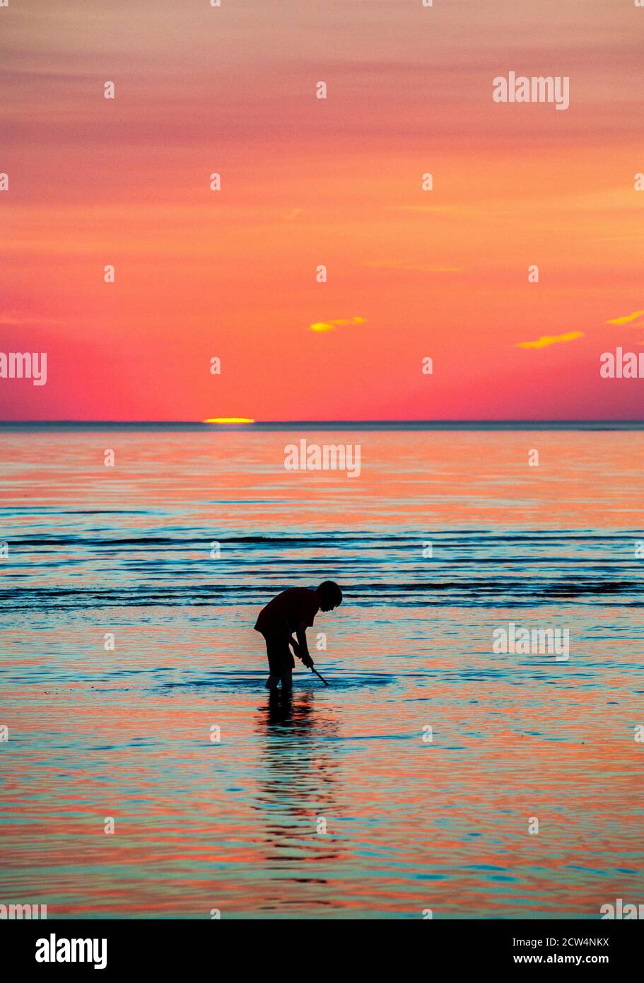 Boy net fishing for minnows at sunset, Skaket Beach, Orleans, Cape Cod, Massachusetts, USA. Stock Photo