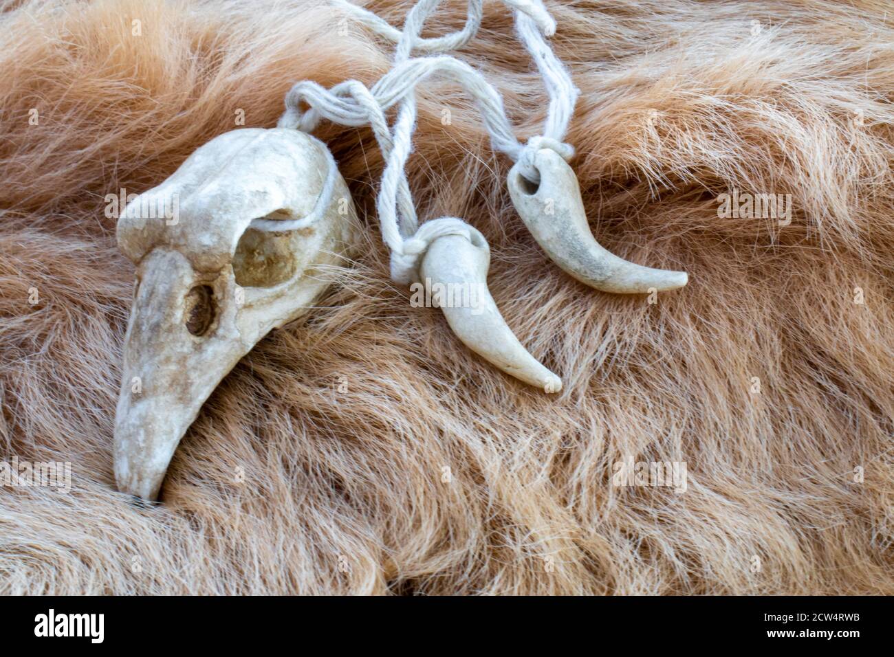 Parakeet bone deals necklace