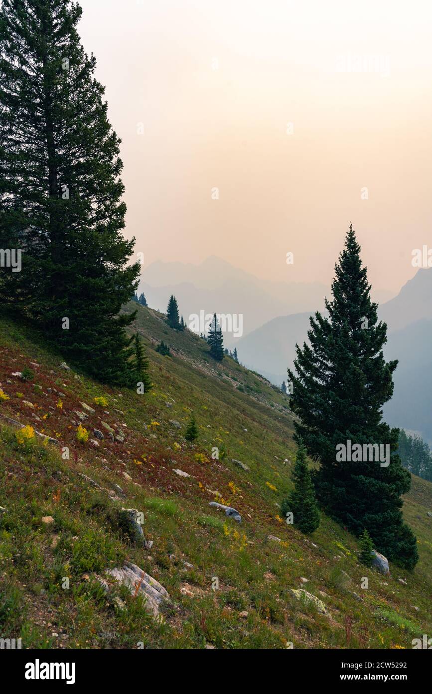 Mountain side along the Four Pass Loop trail near Aspen and Snowmass, Colorado during the summer with hazy forest fire smoke in the background. Stock Photo