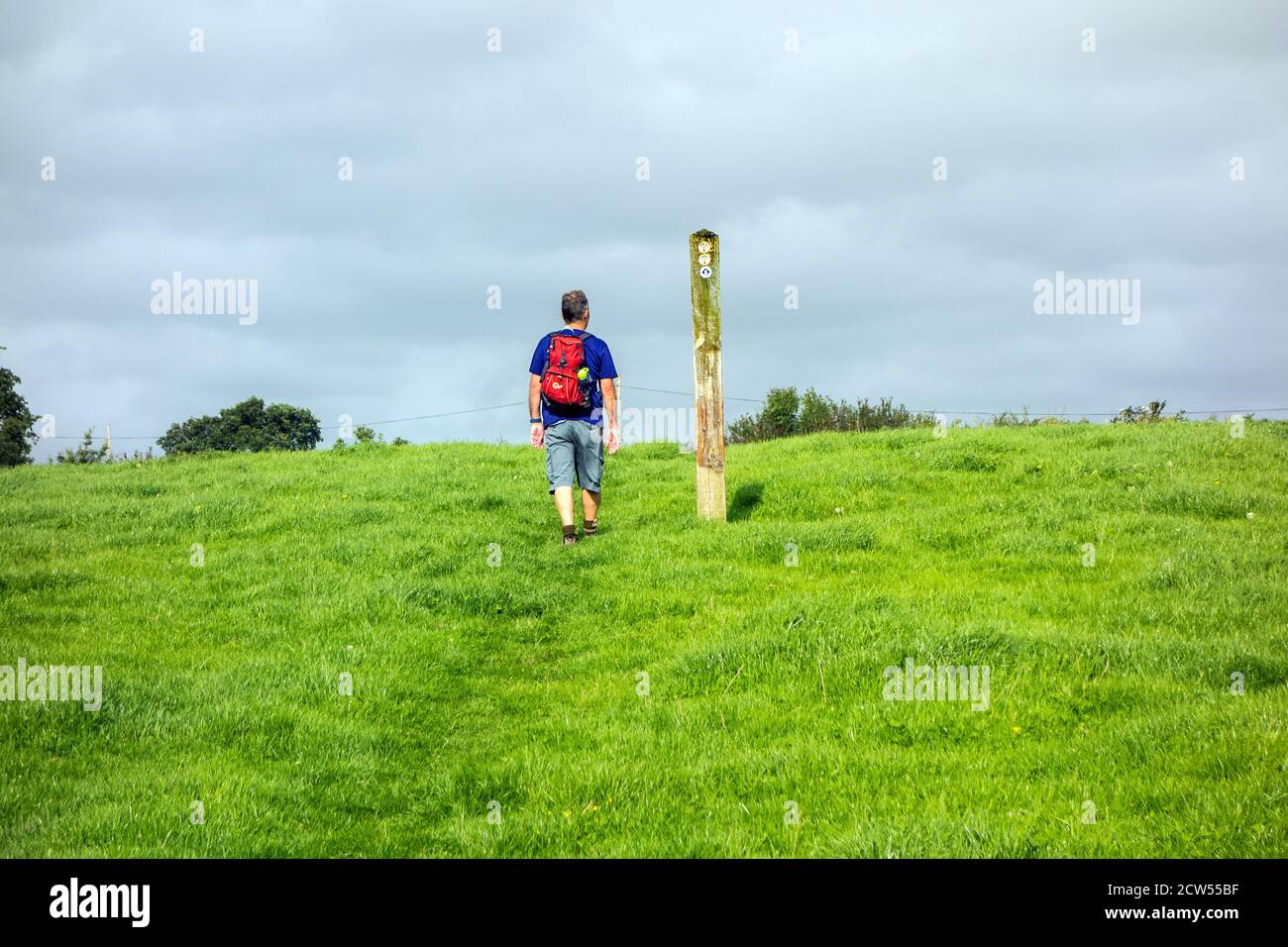 Man backpacker walking the Sandstone Trail long distance footpath through Cheshire countryside towards a waymarker on Bickley moss farm Cheshire, Stock Photo