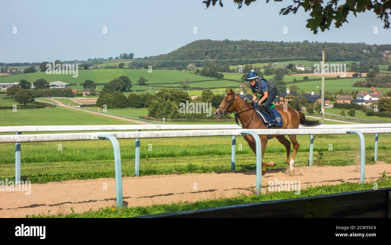 Manor House Stables High Resolution Stock Photography And Images Alamy
