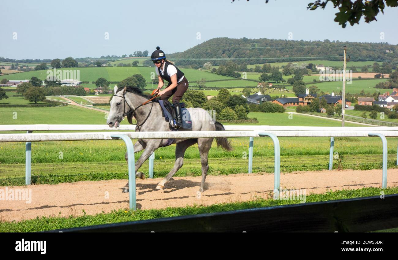 Manor House  horse racing stables owned by Michael Owen and his wife Louise, standing in the heart of Cheshire countryside on the Sandstone Trail Stock Photo