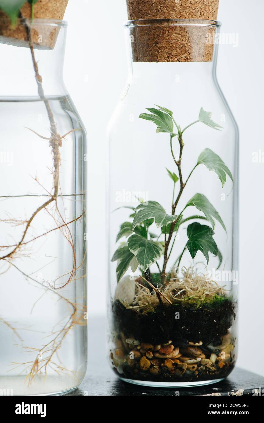 Oleg xaler - insider текст. One forty. Предлоги места в английском языке round up. Сжатая сборка. Сжатая сборка амазинг.