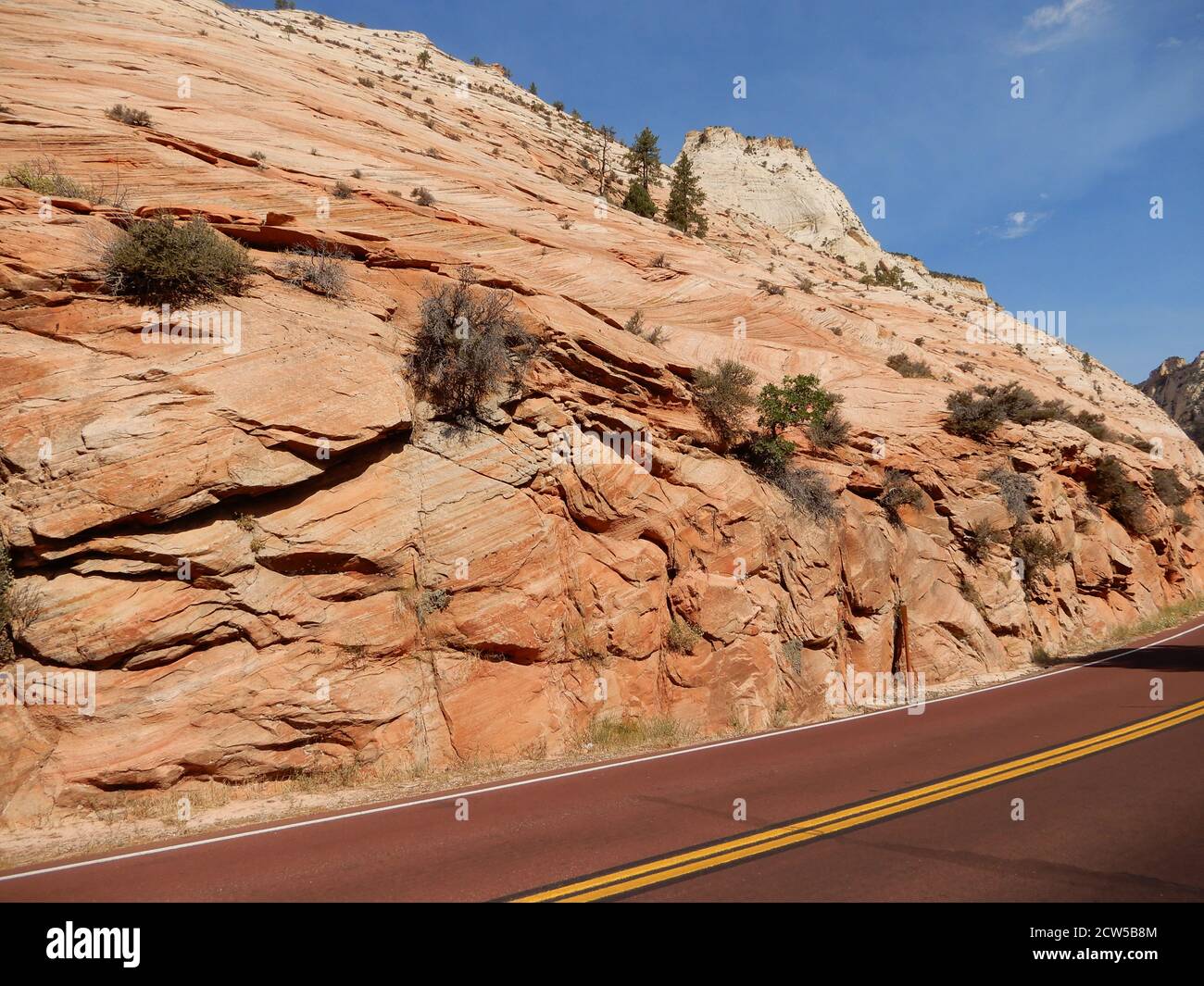 Springdale, UT. U.S.A. 8/12/2020. Zion National Park’s Virgin River ...