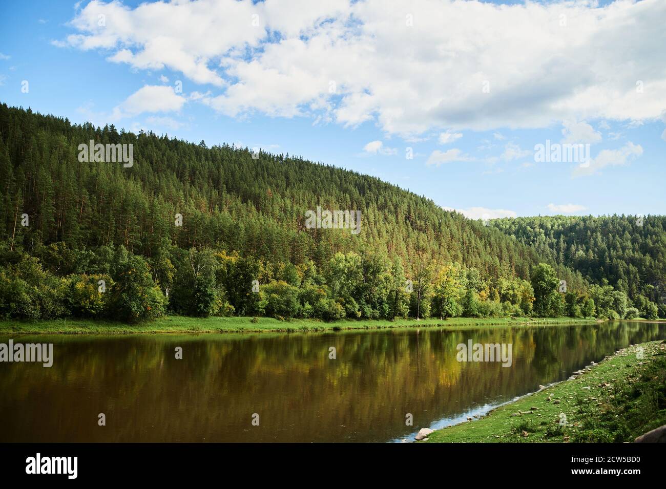 Blue water in a forest lake with pine trees Stock Photo - Alamy