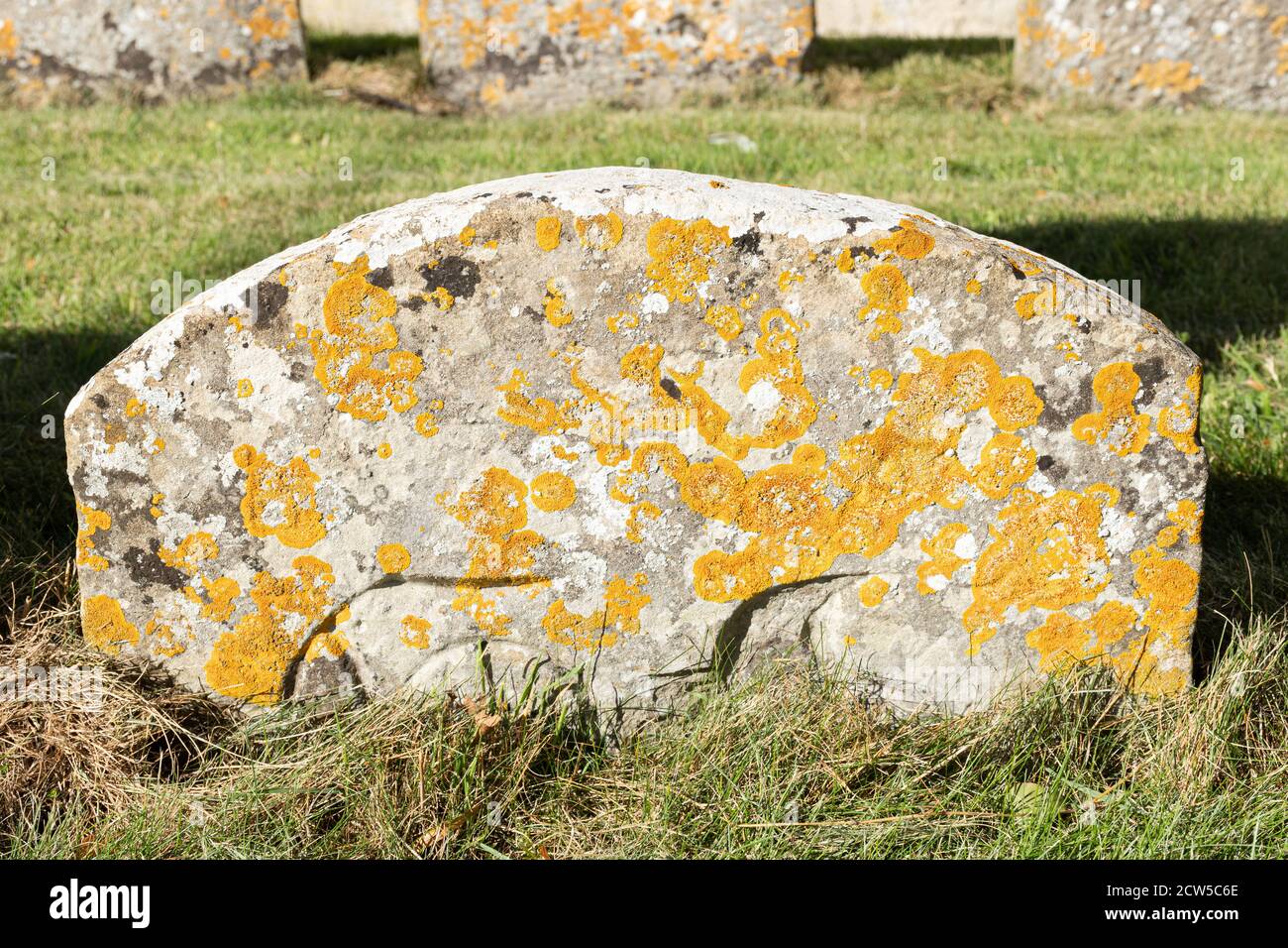 Lichen covered headstone or gravestone in a churchyard, UK Stock Photo