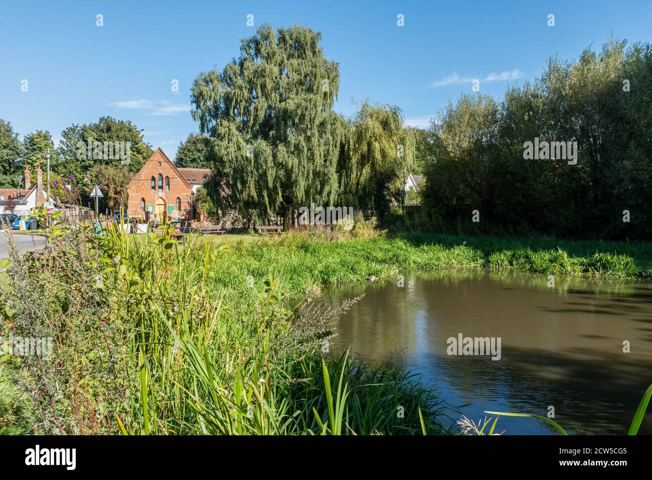 The village pond in the pretty village of East Ilsley, Berkshire, UK ...