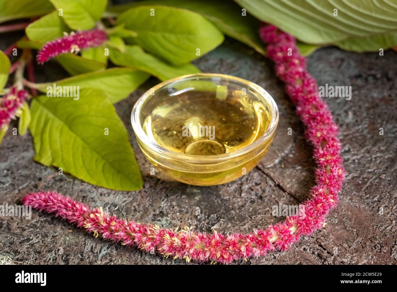 Wellamar | Amaranth for Health & Wellness