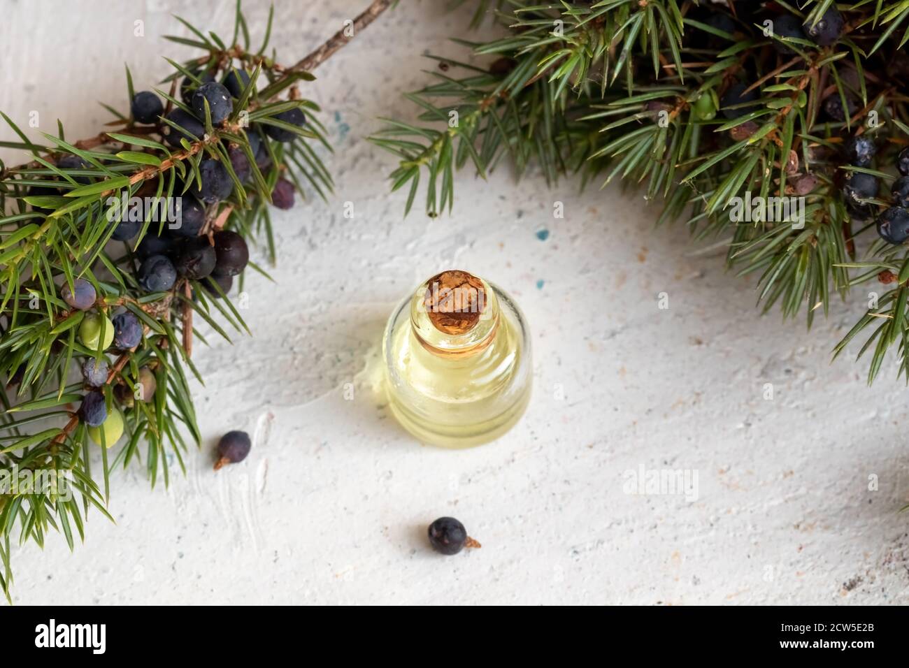 A bottle of essential oil with fresh juniper twigs on a white background Stock Photo
