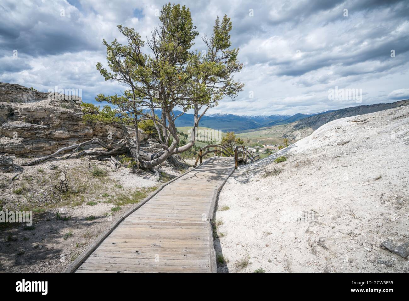 Mammoth Hot Springs in yellowstone national park, wyoming, usa Stock