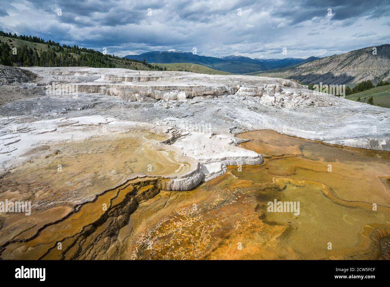 Mammoth Hot Springs in yellowstone national park, wyoming, usa Stock