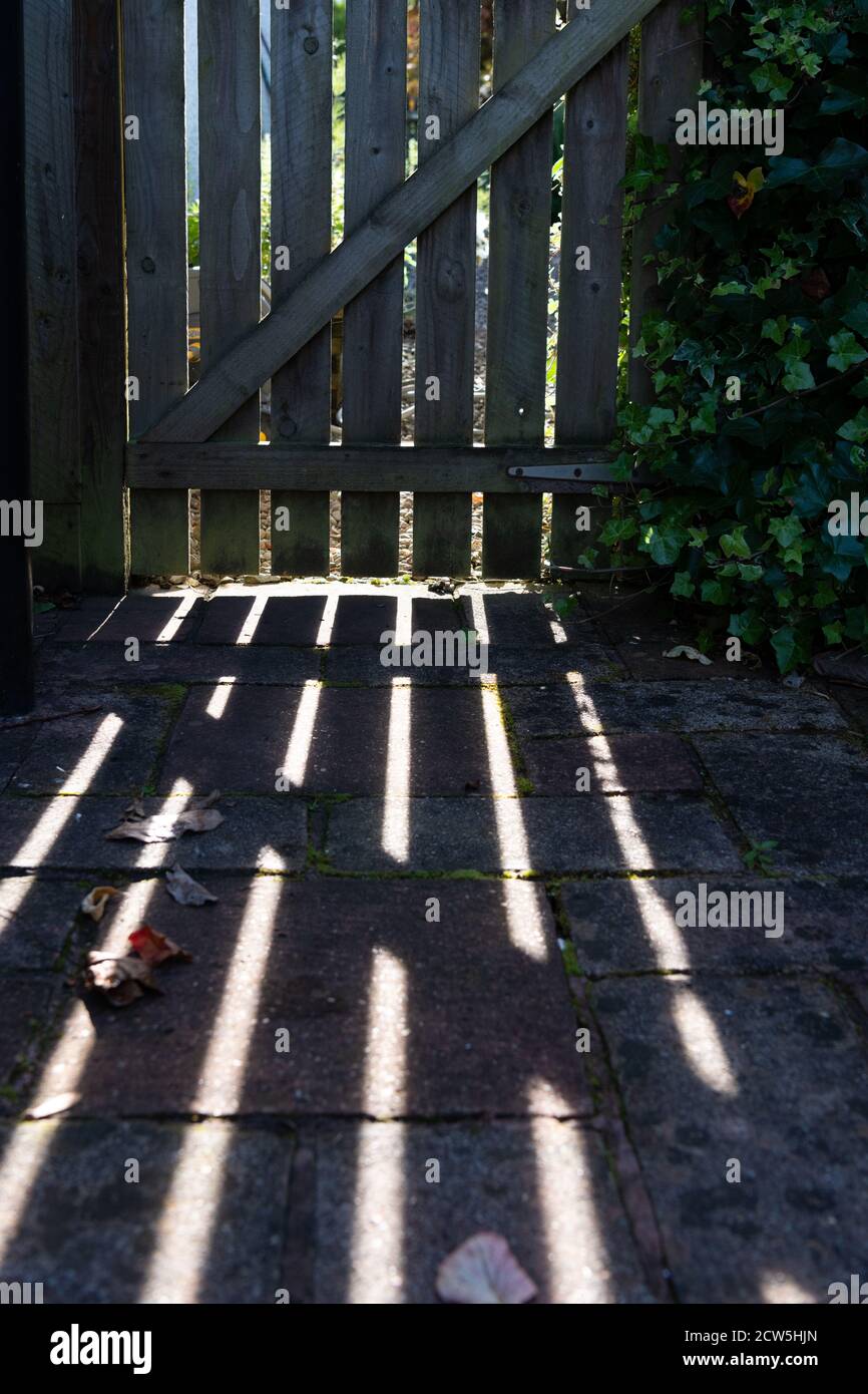 Garden gate shadows Stock Photo