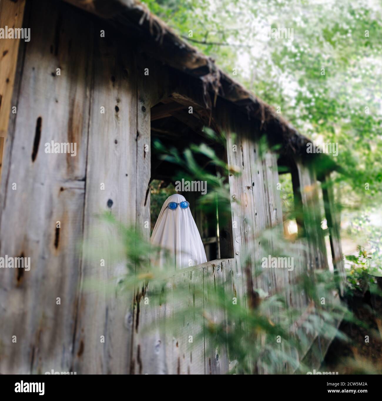 Vintage Ghost Costume Photoshoot Challenge Through an Old Window Stock