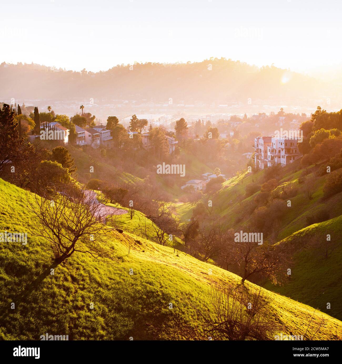 Walnut Canyon in Glassell Park on a golden sunset Stock Photo